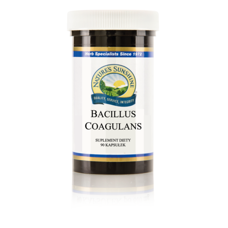 77877ba58aeaf36c86f77dc562fb2200