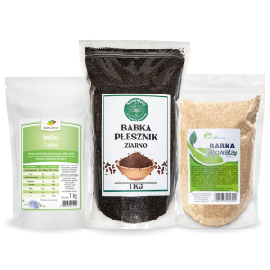 Zestaw błonnikowy Naturalsite – babka płesznik + inulina z cykorii + babka jajowata