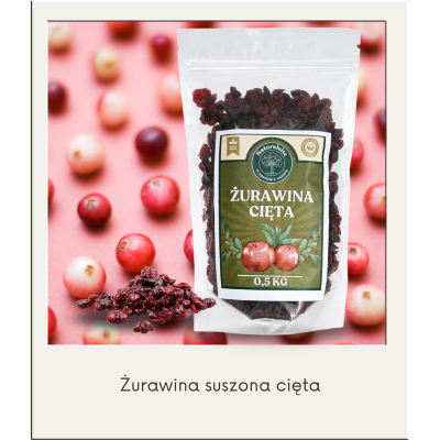 pis4.png